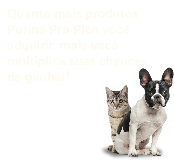 Imagem informativa